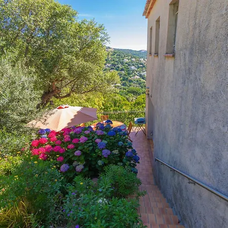 Vue Dans Les Collines Appartement Cavalaire-sur-Mer
