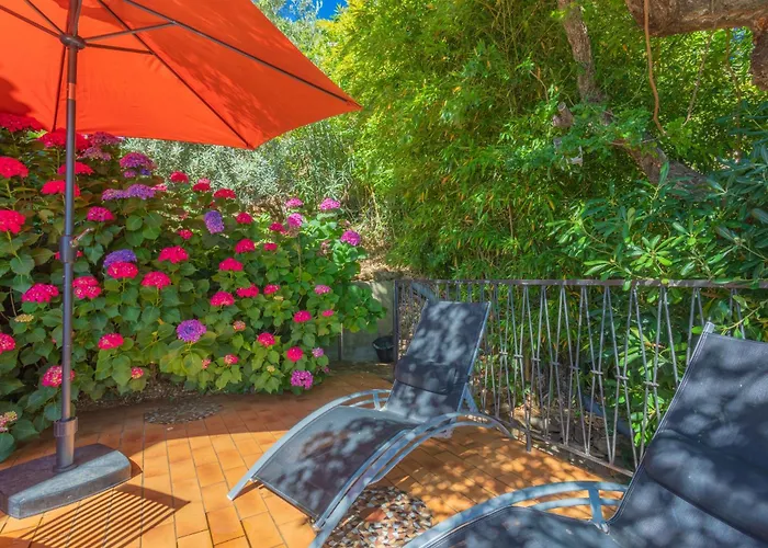 Vue Dans Les Collines 아파트 카발레르쉬르메르