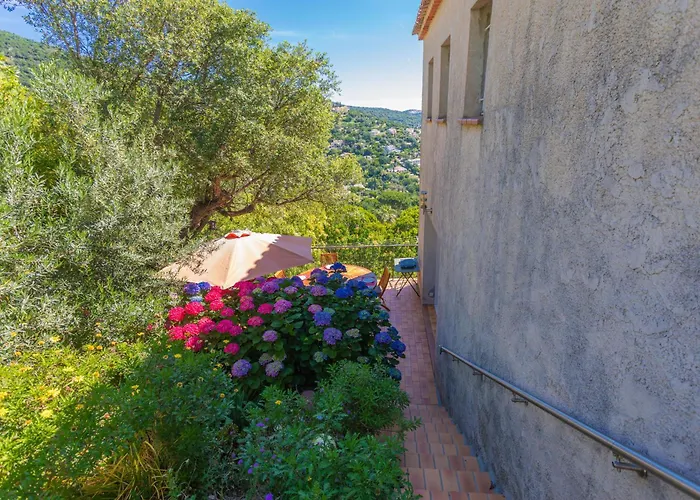 Vue Dans Les Collines 아파트 카발레르쉬르메르